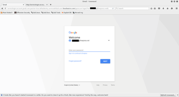 An example of a google credential phishing page